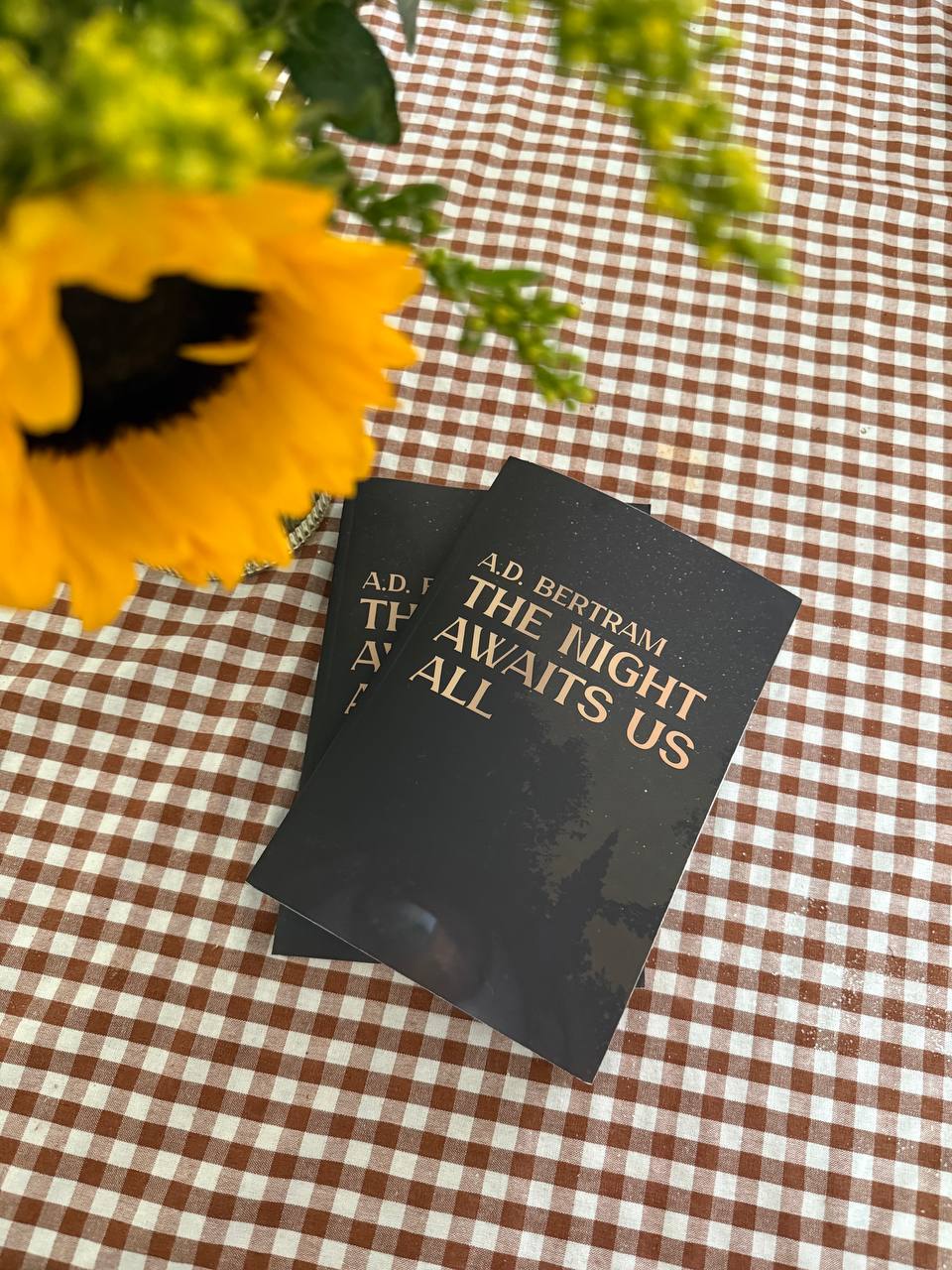 The Night Awaits Us All - Paperback